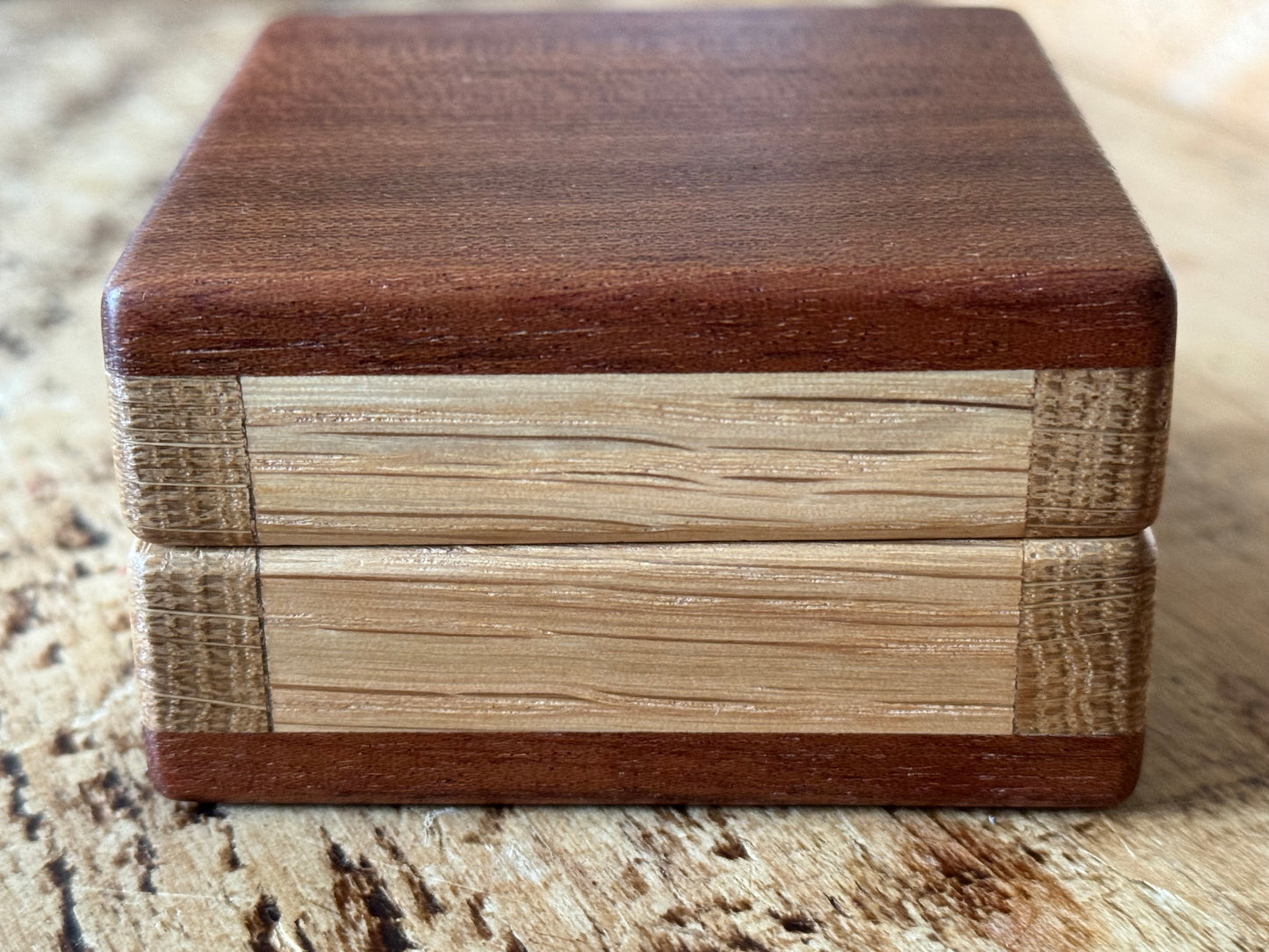 Bog Yew Rune Dice Set with Handmade Oak Presentation Box